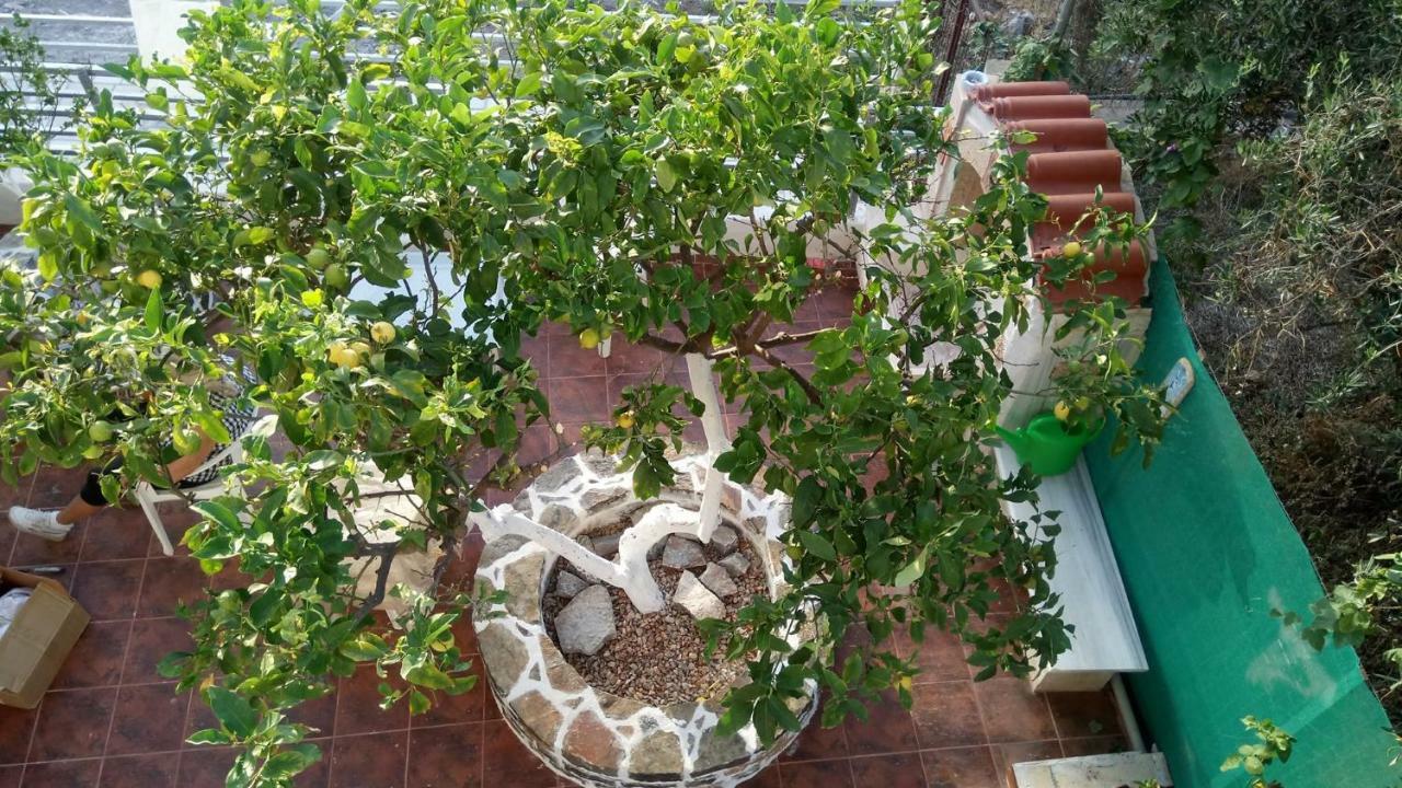 Laskas Apartment Stalida المظهر الخارجي الصورة